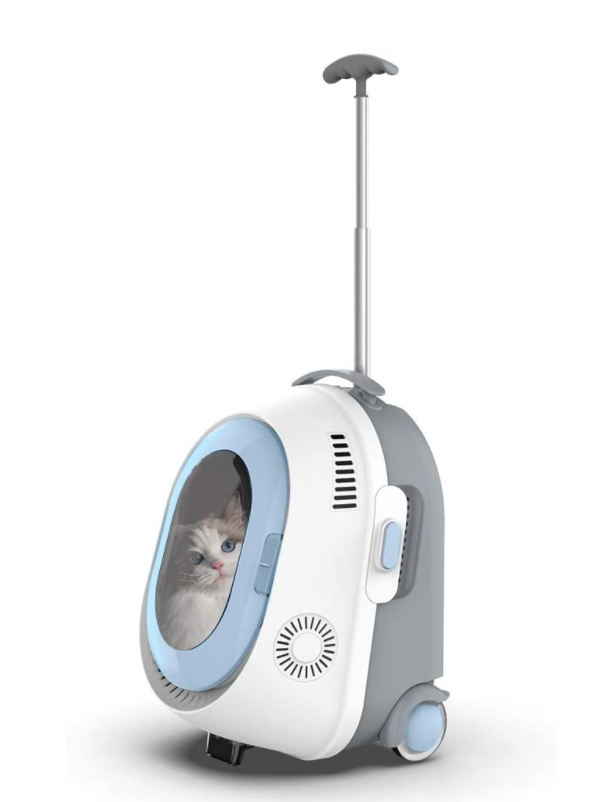 Mochila transportadora